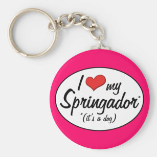 springador gifts