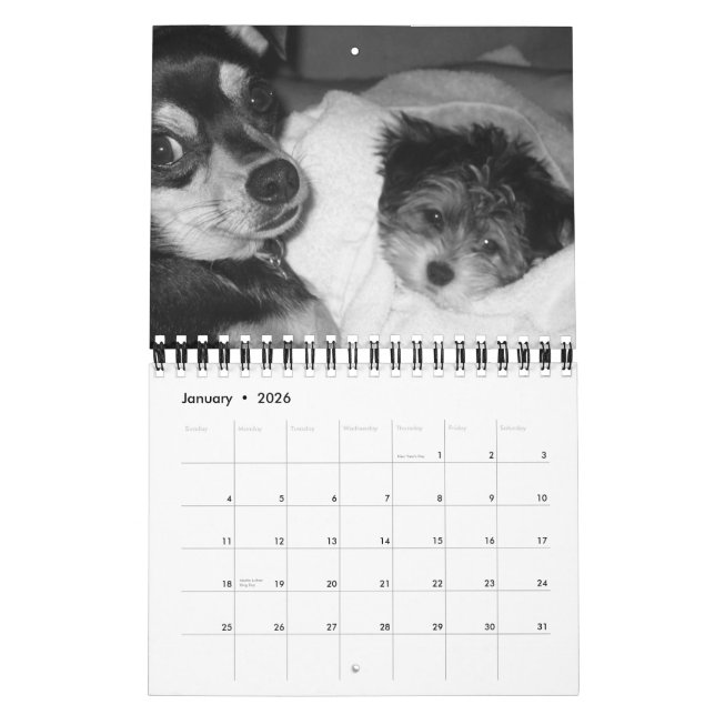 It's a Dog's Life 2008 Calendar (Jan 2026)