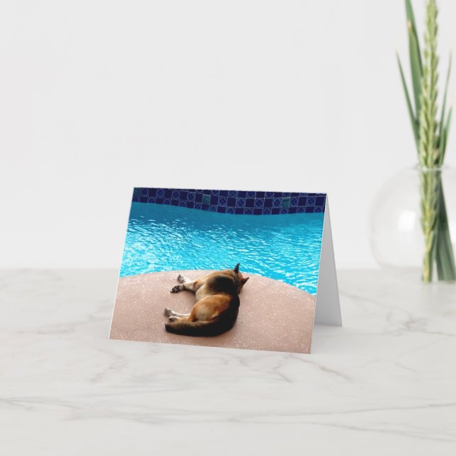 It's a Dogs Life ~ Card / Invitations (Front)