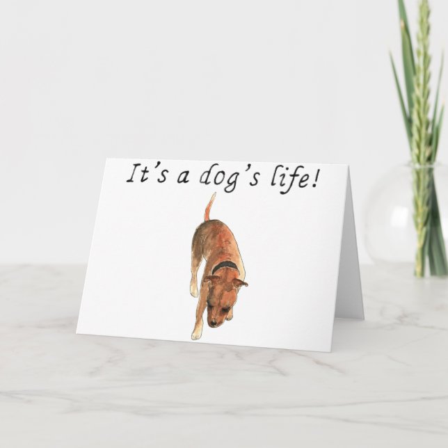 It's a dogs life Cute Staffordshire Bull Terrier Card (Front)