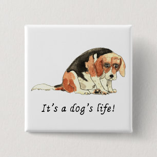 Its a dogs life Funny Cute Sad Beagle Art Humour 15 Cm Square Badge