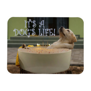 It's a dogs life magnet