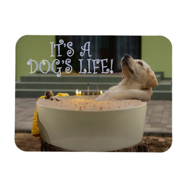 It's a dogs life magnet (Horizontal)