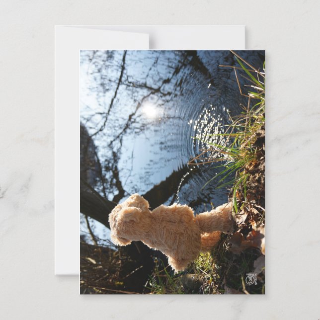 It's a funny bear who's teasing. magnetic invitation (Front)