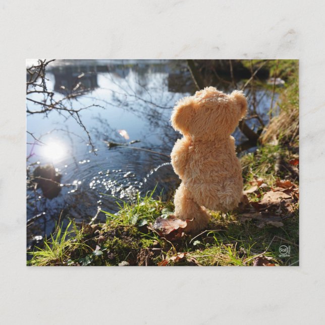 It's a funny bear who's teasing. postcard (Front)