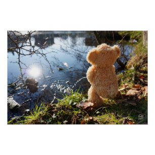 It's a funny bear who's teasing. poster