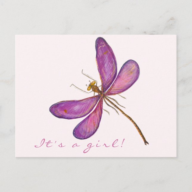 It's a girl! Sweet Purple Dragonfly Announcement Postcard (Front)