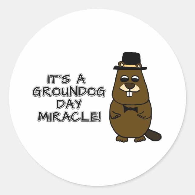It's a groundhog day miracle classic round sticker (Front)