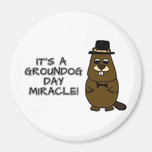 It's a groundhog day miracle magnet