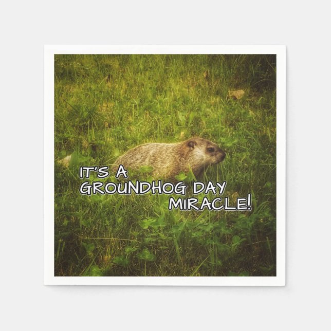 It's a groundhog day miracle napkins (Front)
