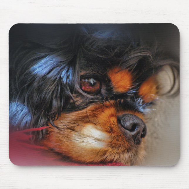 IT'S A HARD LIFE....... MOUSE MAT (Front)