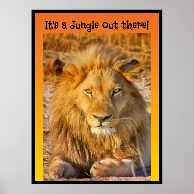 It's a Jungle out there! Poster (Front)
