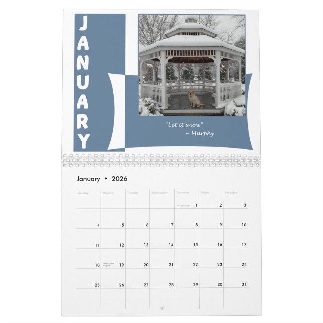 It's a Lab's World 12 month Calendar (Jan 2026)