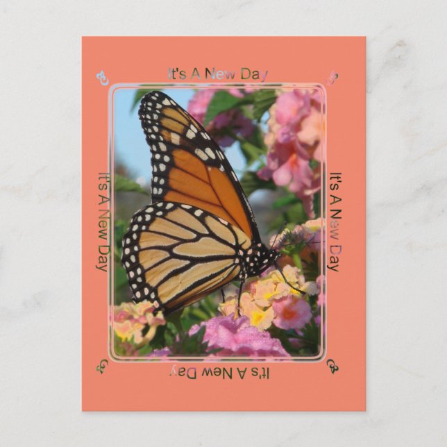 It's A New Day Monarch Butterfly Postcard (Front)