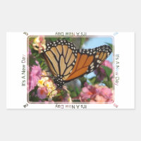 It's A New Day (Monarch Butterfly)