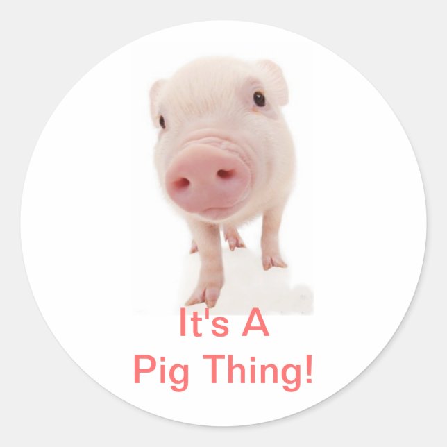 It's A Pig Thing Classic Round Sticker (Front)