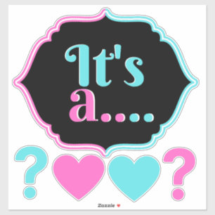 It's a...Pink & Blue Gender Reveal Baby Shower