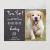 It's a Pup New Pet Puppy Dog