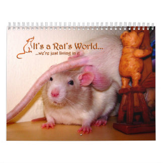 It's a Rat World Calendar 2016