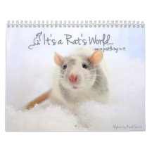 It's a Rat's World Calendar