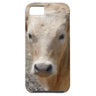 It's a Roundup! White Charolais Cattle Cow Face