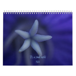 It's a small world calendar