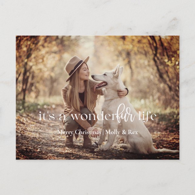 It's a WonderFUR Life: Pet Christmas Postcard (Front)