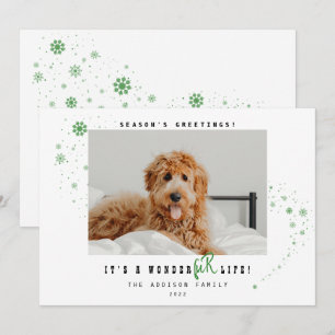 It's A WonderFUR Life Pet Photo Christmas Holiday