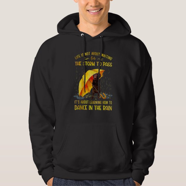 It's About Learning How To Dance In The Rain Labra Hoodie (Front)
