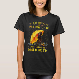 It's About Learning How To Dance In The Rain Labra T-Shirt