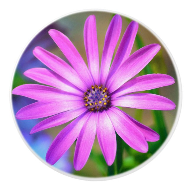 It's About Me Daisy Ceramic Knob (Front)