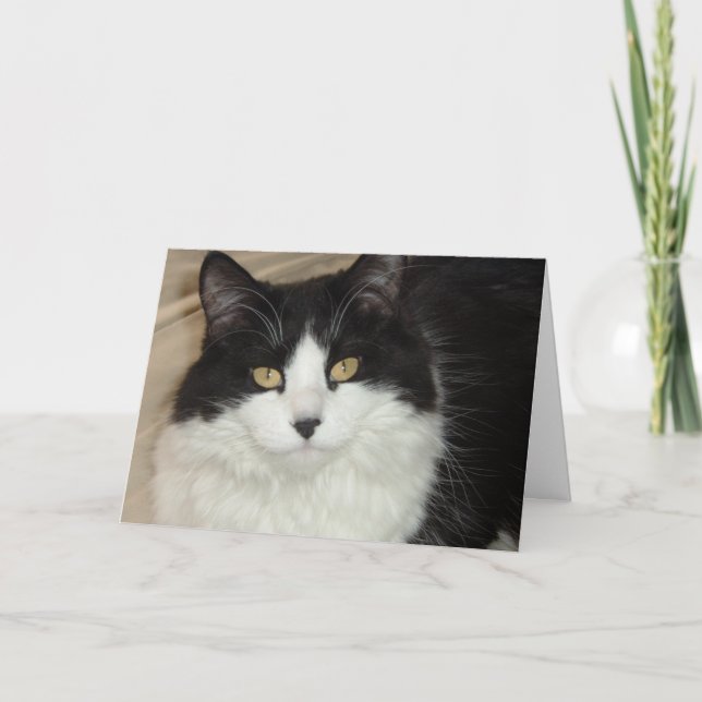 It's About Time You Got Home/Valentine Humour Holiday Card (Front)