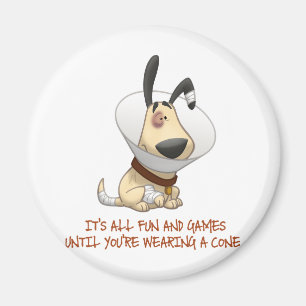 It's All Fun and Games Until You're Wearing A Cone Magnet