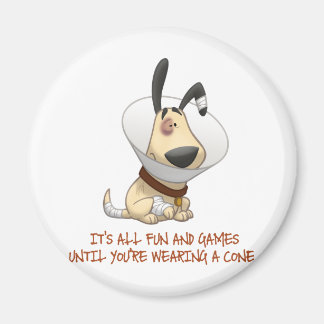 It's All Fun and Games Until You're Wearing A Cone Magnet