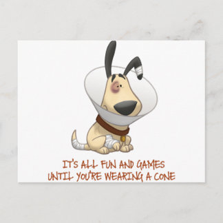 It's All Fun and Games Until You're Wearing A Cone Postcard