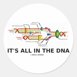 It's All In The DNA Classic Round Sticker