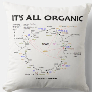 It's All Organic Krebs Cycle Citric Acid Cycle Cushion