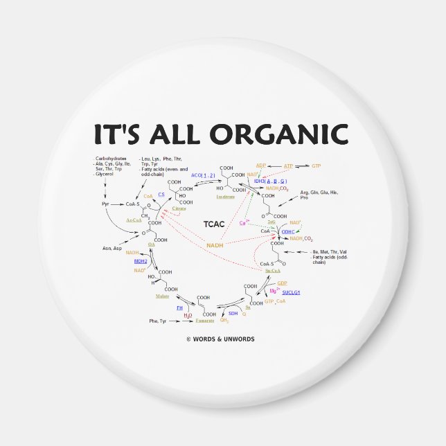It's All Organic (Krebs Cycle / Citric Acid Cycle) Magnet (Front)