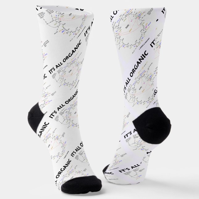 It's All Organic Krebs Cycle Citric Acid Cycle Socks (Angled)