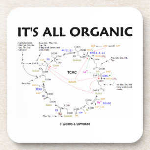 It's All Organic (Krebs Cycle) Coaster