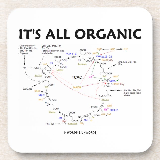 It's All Organic (Krebs Cycle) Coaster (Front)