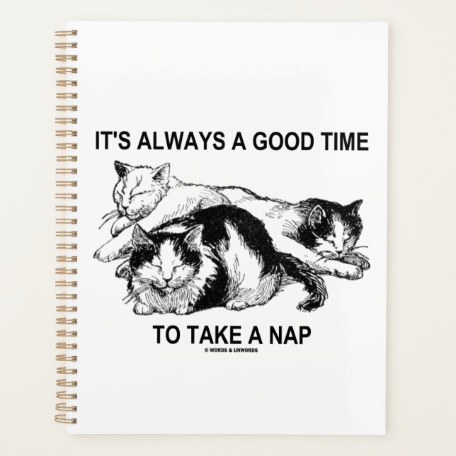 It's Always A Good Time To Take A Nap Three Cats Planner (Front)