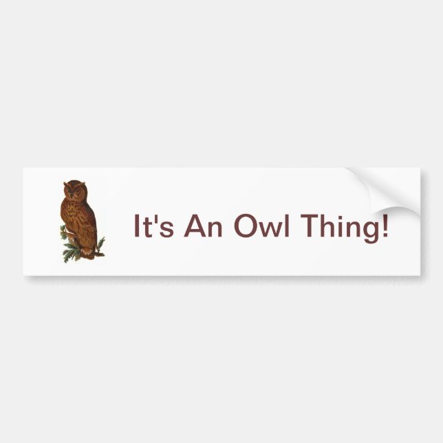 It's An Owl Thing Bumper Sticker (Front)