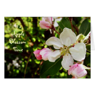 It's AppleBlossom Time
