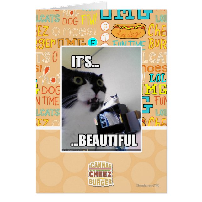 It's Beautiful (Front)