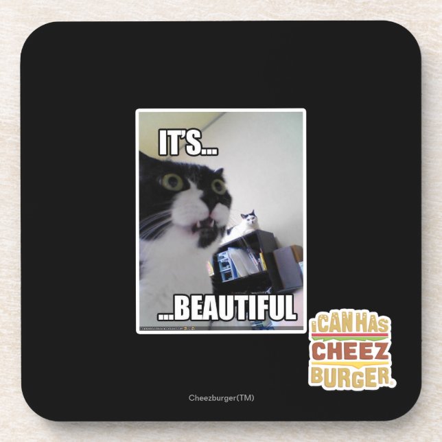 It's Beautiful Coaster (Front)