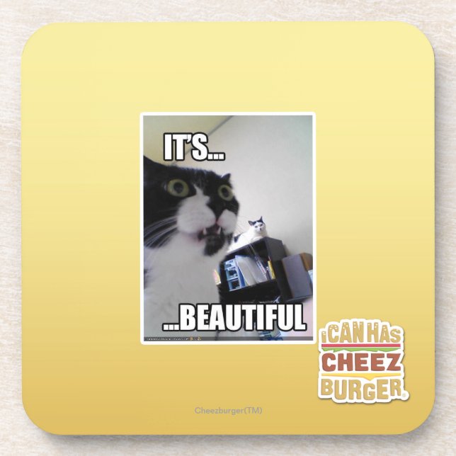 It's Beautiful Coaster (Front)
