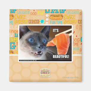 It's Beautiful! Magnet
