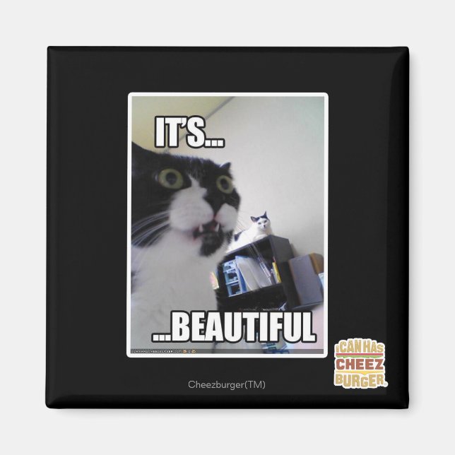 It's Beautiful Magnet (Front)
