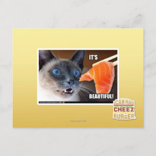 It's Beautiful! Postcard